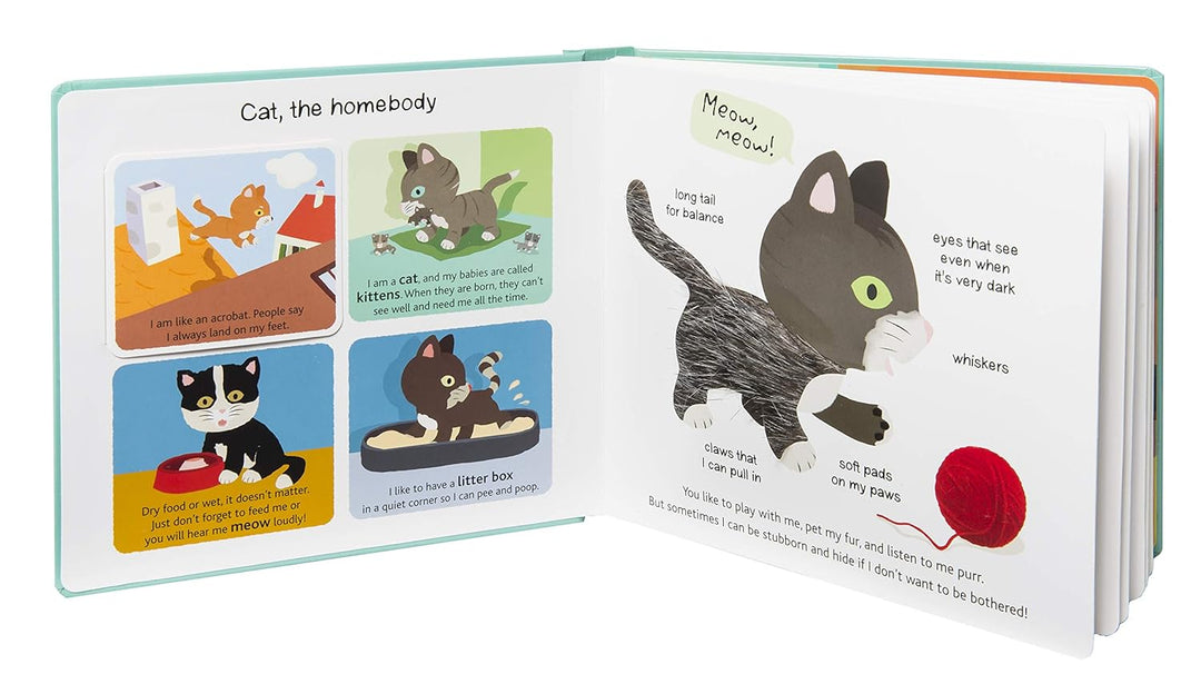 Touch and Explore Pets Book