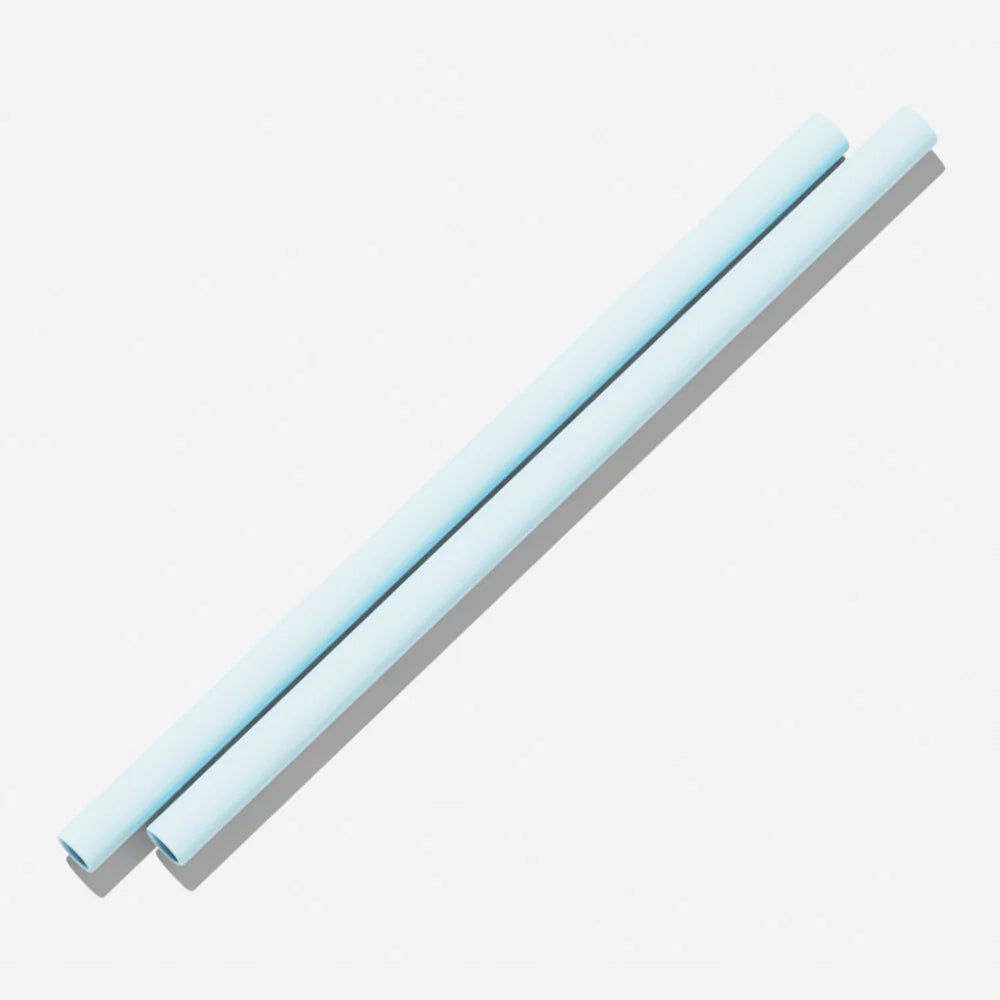 Silicone Straw 2-pack