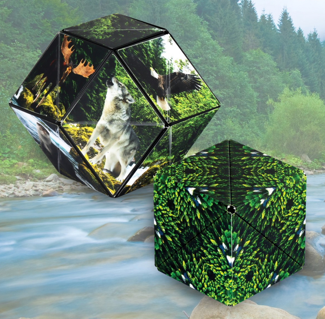 Shashibo Cube