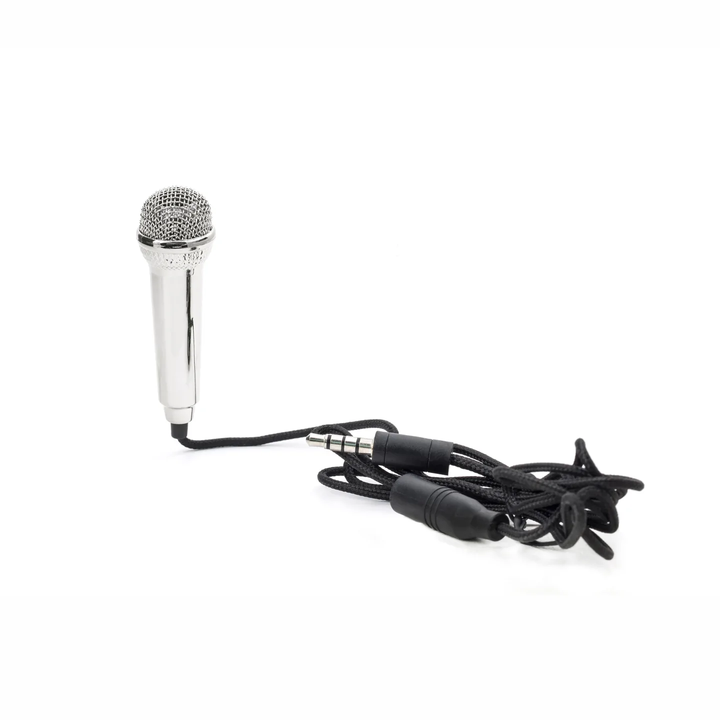 Mini Karaoke Microphone