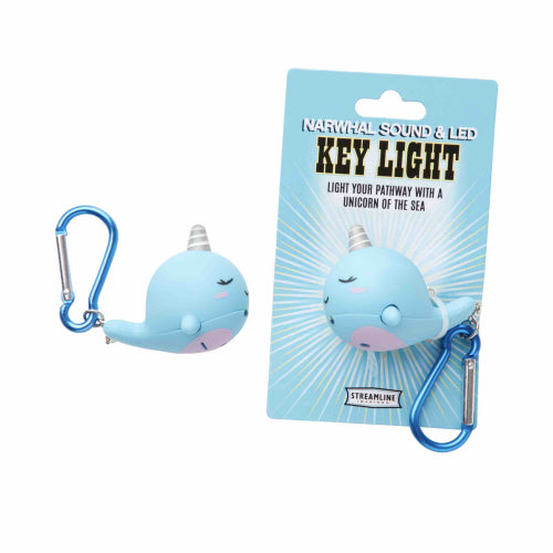 Sound & Light Key Rings